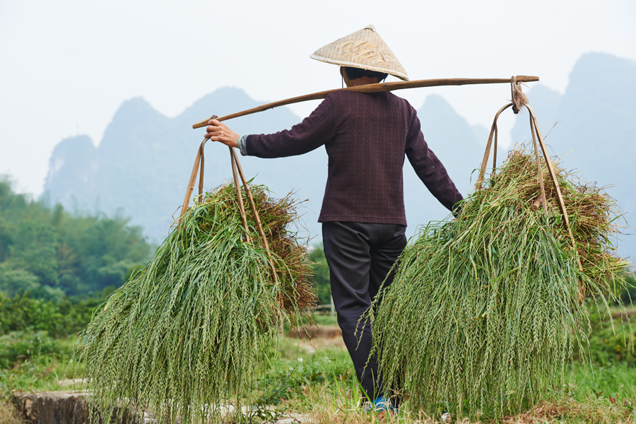 中国が今の地位を確立するまで