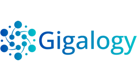 Gigalogy Inc.